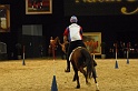 Pferd u Jagd   011